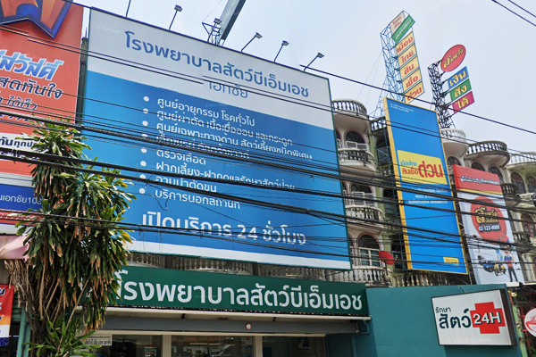 Bmh Animal Hospital