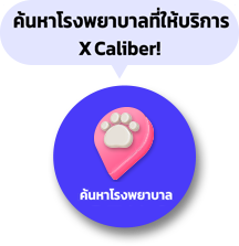 Desktop Th