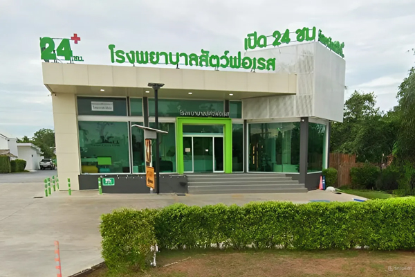 Forest Animal Hospital