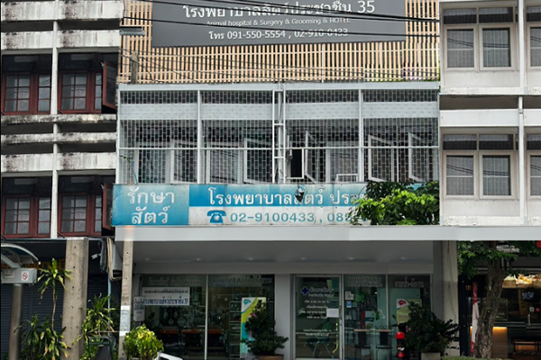 Vet35 Pet Hospital